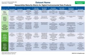 maturity matrix