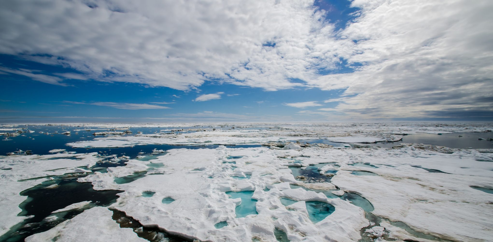 Image of Arctic Sea Ice